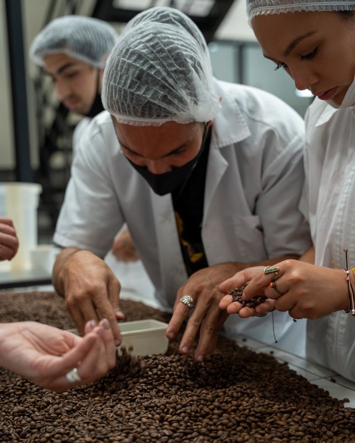 Employees sorting coffee beans in an industrial environment, wearing uniforms for quality control.